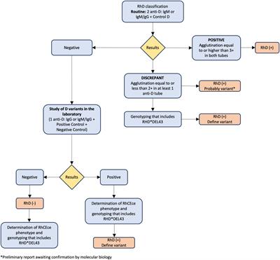 Genotype analysis to clarify RhD variants in discrepant samples of Chilean population